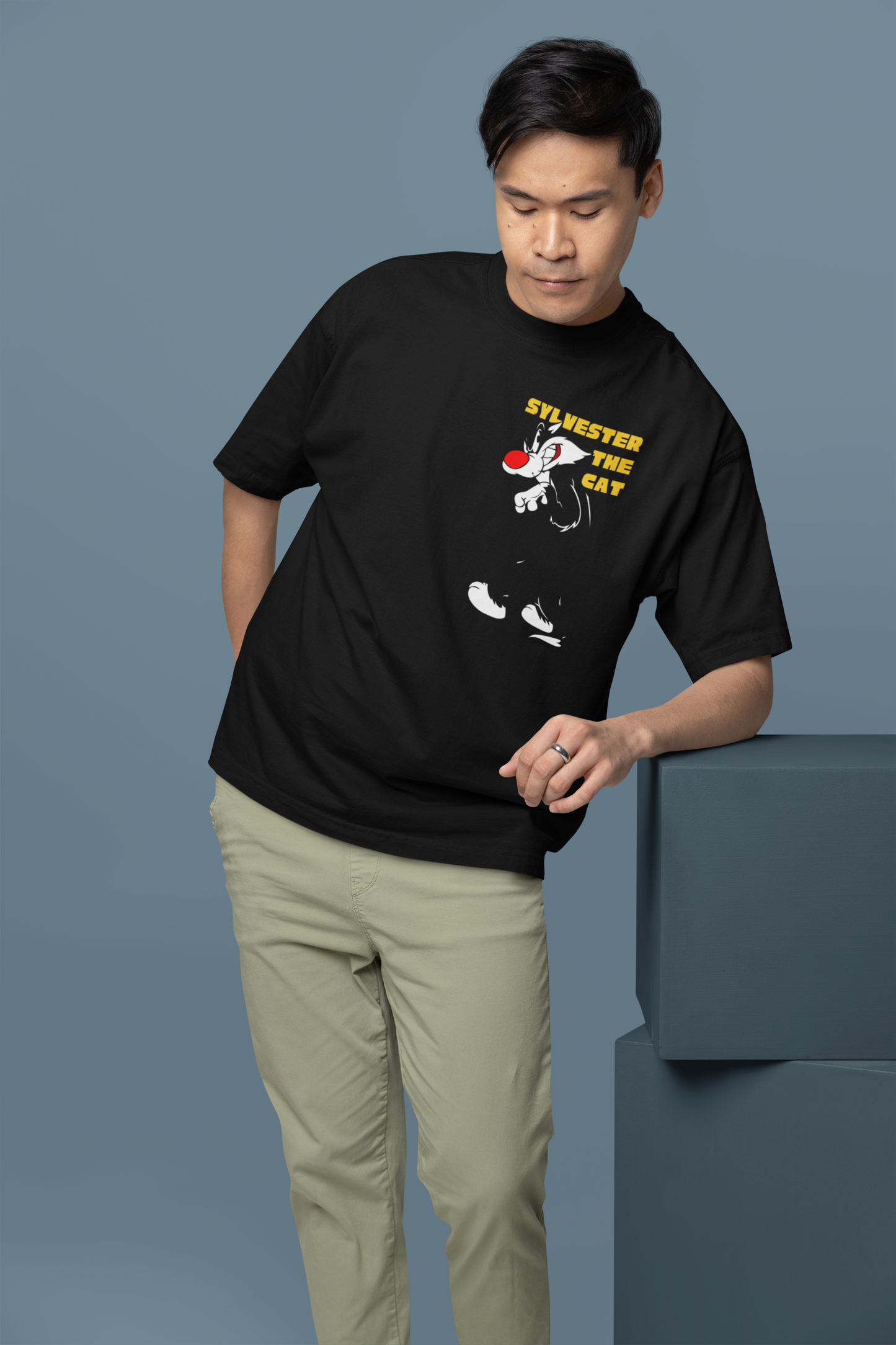 Looney Tunes Sylvester the Cat Printed Oversized T-Shirt – Cartoon Streetwear Tee