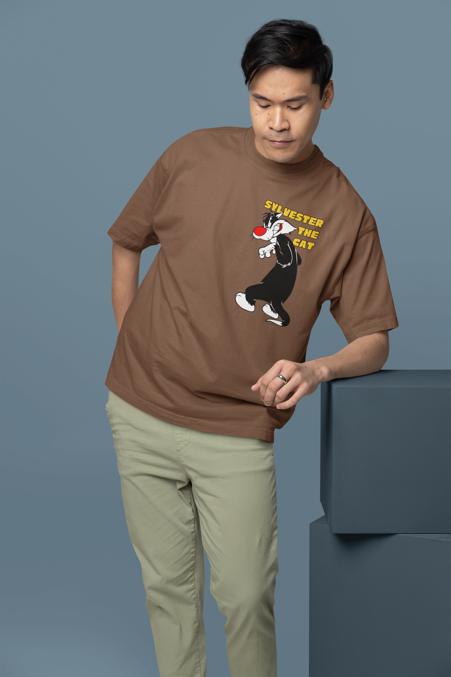 Looney Tunes Sylvester the Cat Printed Oversized T-Shirt – Cartoon Streetwear Tee